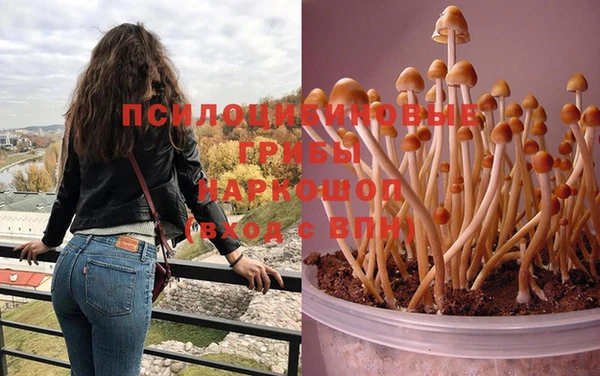 каннабис Лабытнанги